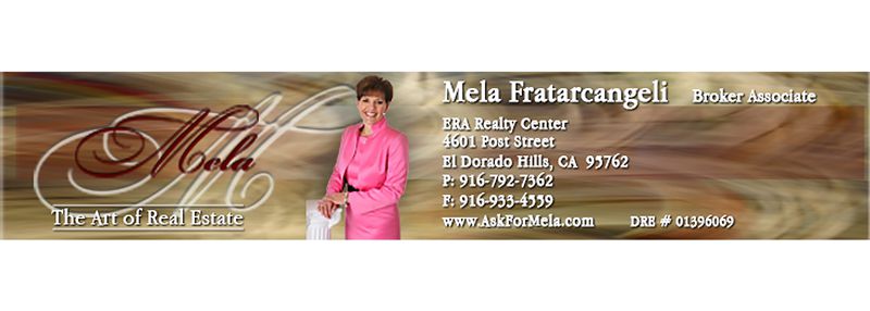 Mela Email Banner Design